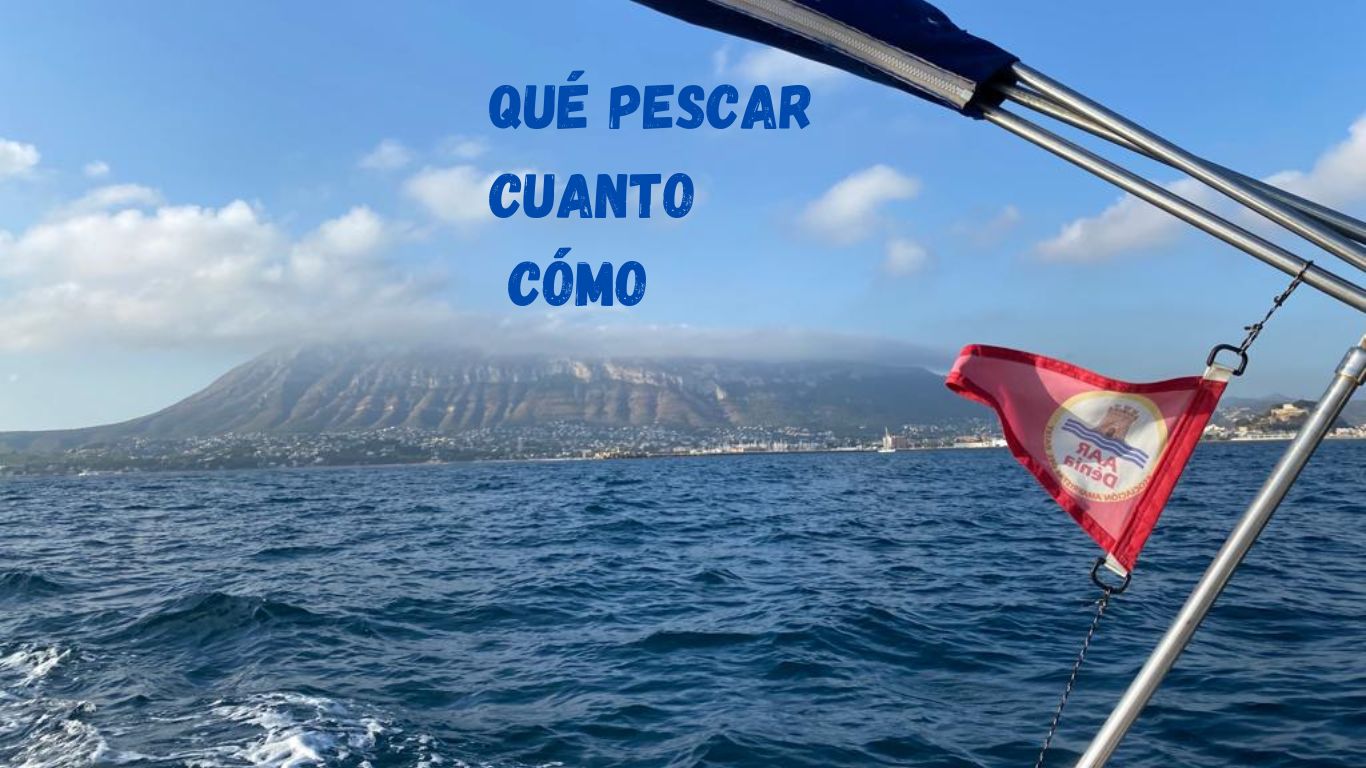 QUÉ PESCAR, CUÁNTO Y CÓMO EN DENIA