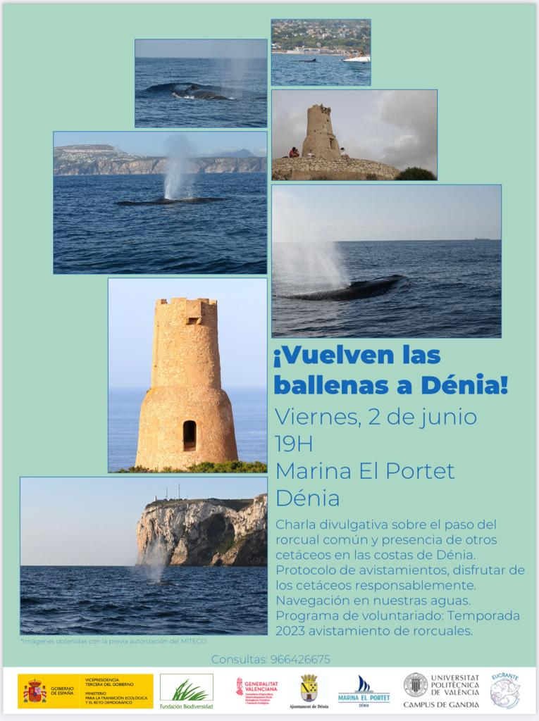 VUELVE EL VERANO, VUELVEN LAS BALLENAS A DENIA.