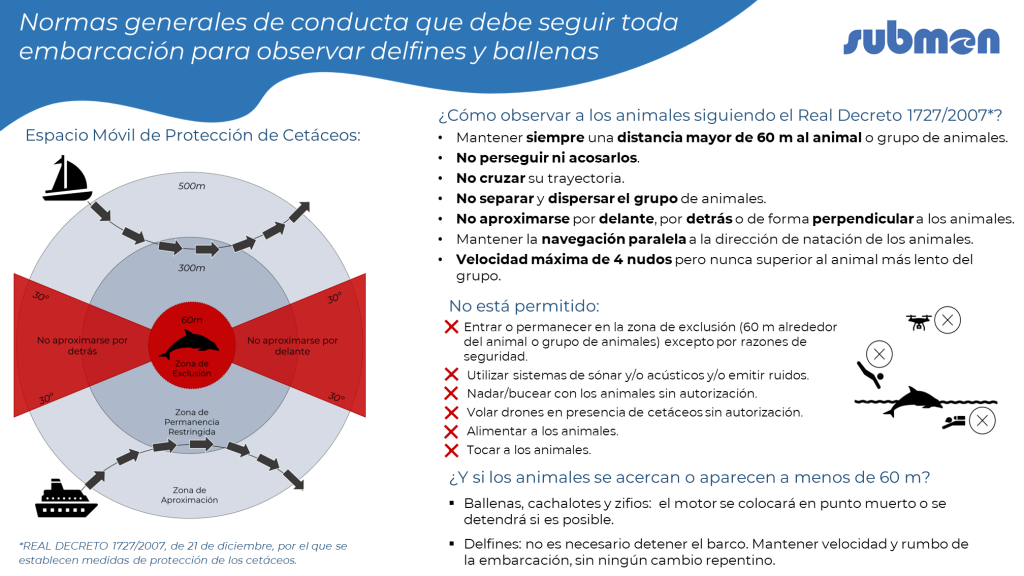 Normas generales de conducta para observar delfines y ballenas.