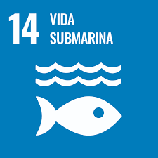 La Agenda 2030 y el mar: un reto de gran magnitud