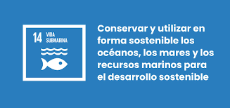 El ODS 14: Conservar y utilizar sosteniblemente los océanos, los mares y los recursos marinos para el desarrollo sostenible.